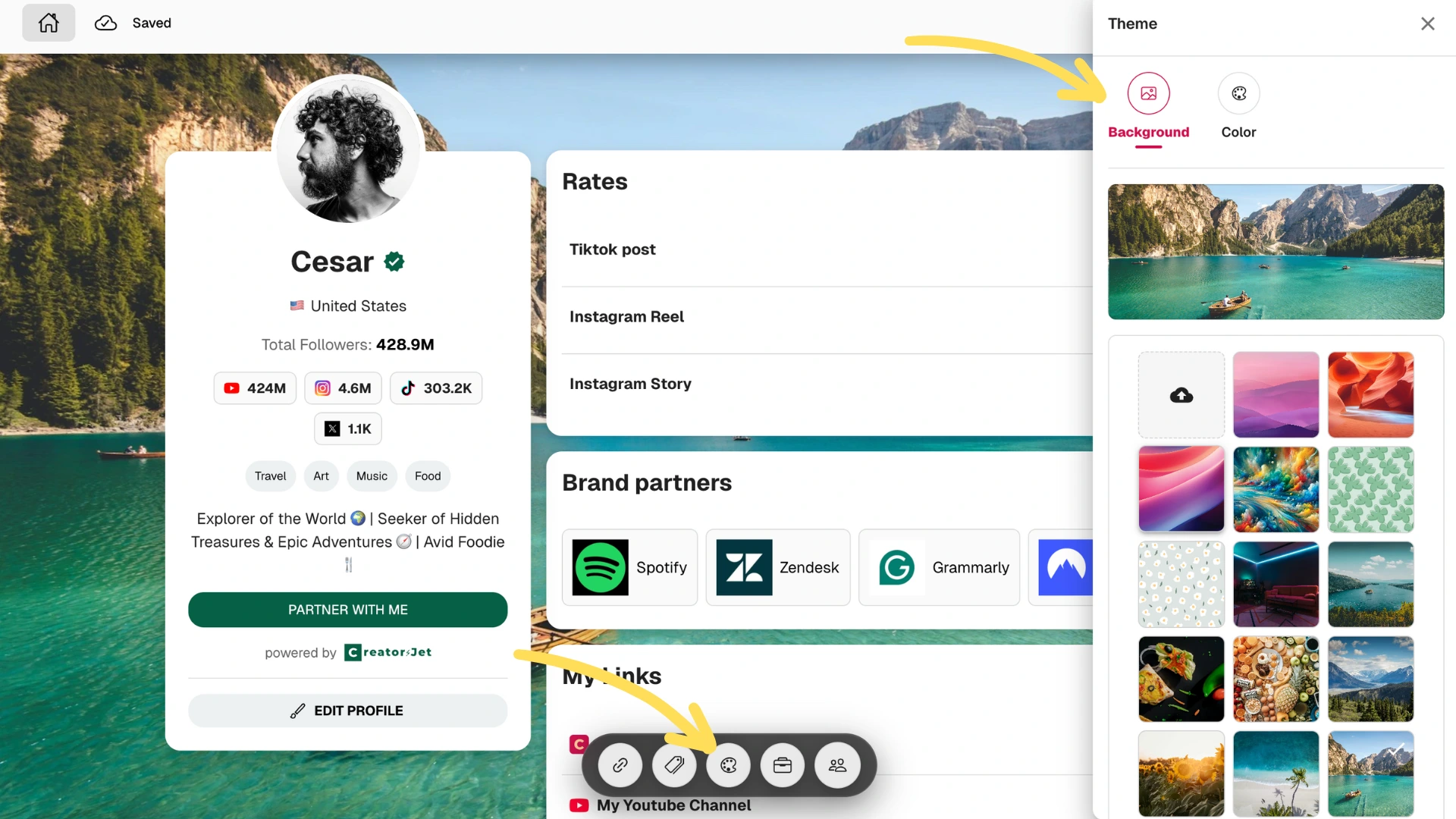 Media kit theme customization screen